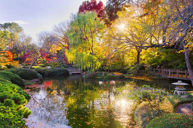 Fort Worth Botanic Garden