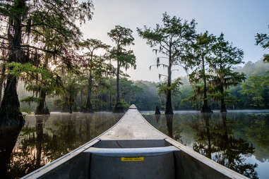 Caddo Lake State Park