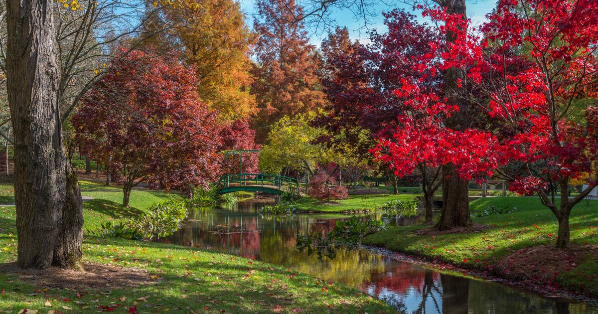 Most Beautiful Places Visit in Georgia: Beaches, Parks, Trails More - Thrillist