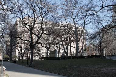 Washington Square 