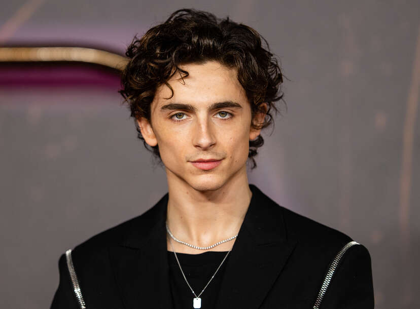 timothee chalamet