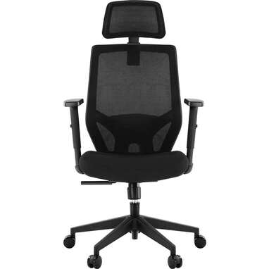 T18 Ergonomic Desk Chair with back Support,High Back Desk Chair with Breathable Mesh Adjustable Armrest Tribesigns Office Chair Backrest and Headrest,black Thick Seat Cushion 