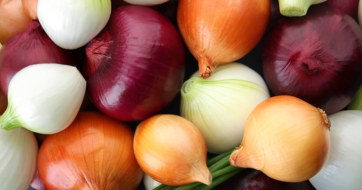 Does Cooking Onions Kill Salmonella? Onion Recall 2021