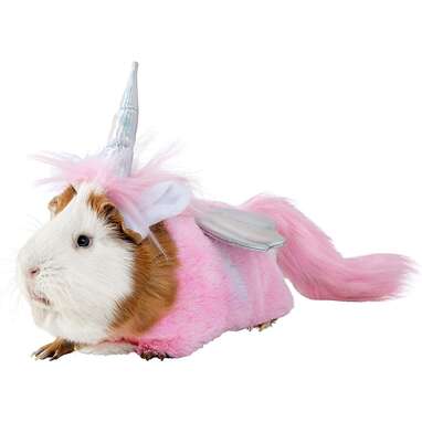 Thrills & Chills Unicorn Guinea Pig Costume
