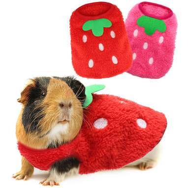 If your pig is as sweet as a berry: HYLYUN Strawberry Guinea Pig Costume