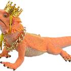 A costume fit for a king: Vomvomp Bearded Dragon Crown Set