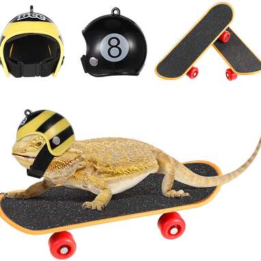 For the dragon who loves to shred: Frienda Bearded Dragon Skateboard Set