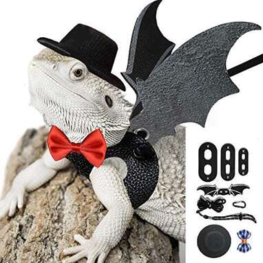 bearded dragon costumes