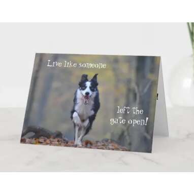 10 Of The Best Dog Birthday Cards For The Dog Lovers In Your Life ...