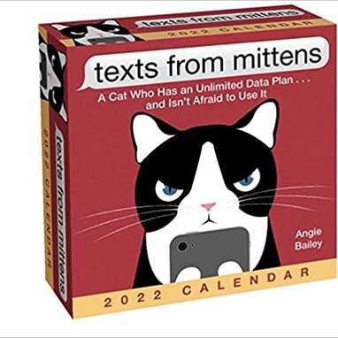 “Texts from Mittens” 2022 Day Calendar