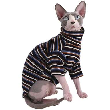 The 12 Best Cat Clothes On Amazon - DodoWell - The Dodo