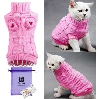 The 12 Best Cat Clothes On Amazon - DodoWell - The Dodo