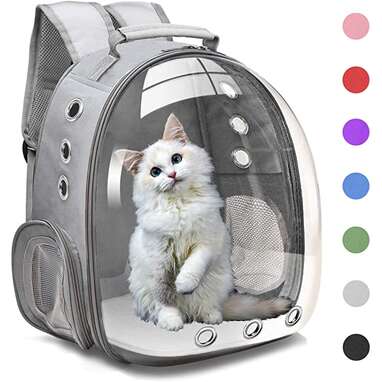 Lollimeow Pet Backpack Carrier for Cats and Puppies - Ventilated Outdo –  lollimeow