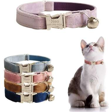 AnNengJing Personalized Cat Collar