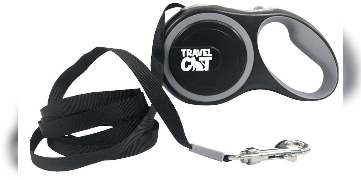 7 Best Cat Leashes On Amazon DodoWell The Dodo