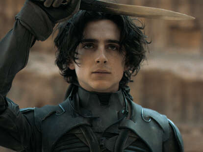 timothee chalamet in dune