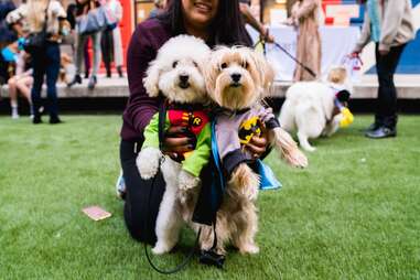 Industry City’s Dog Howl-O-Ween Parade