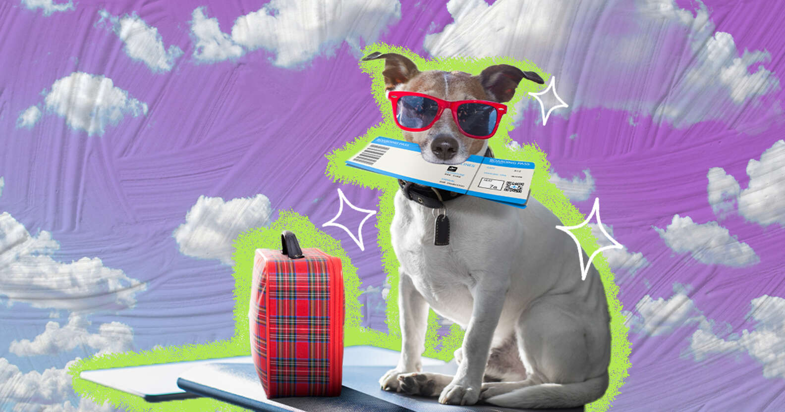 How To Fly With A Dog Cost, DogFriendly Airlines And Prep Tips