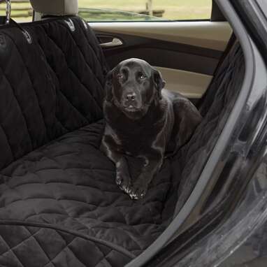 dog seat cover