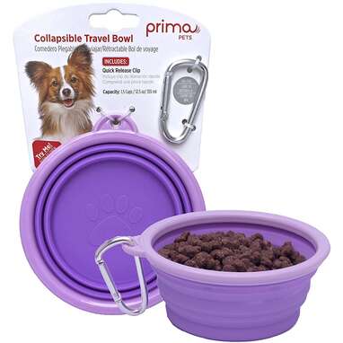 collapsible dog bowl