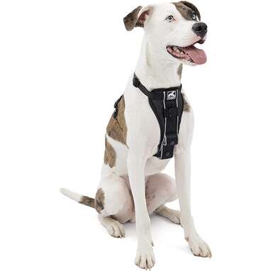 dog travel harness