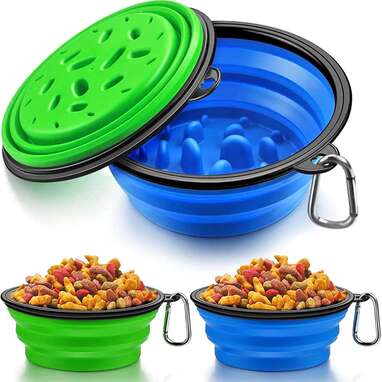 collapsible dog bowl