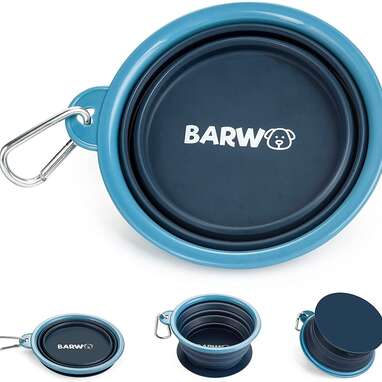 collapsible dog bowl