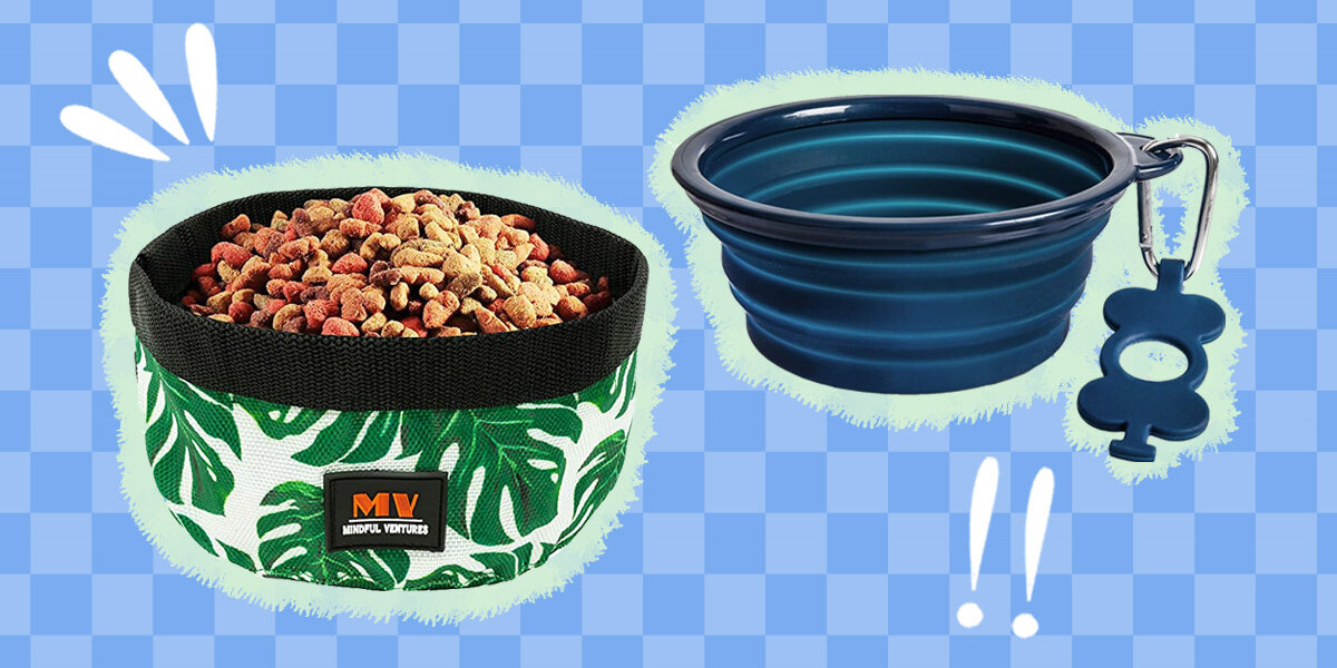 Best portable shop dog bowls