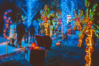 Pumpkin Nights Austin
