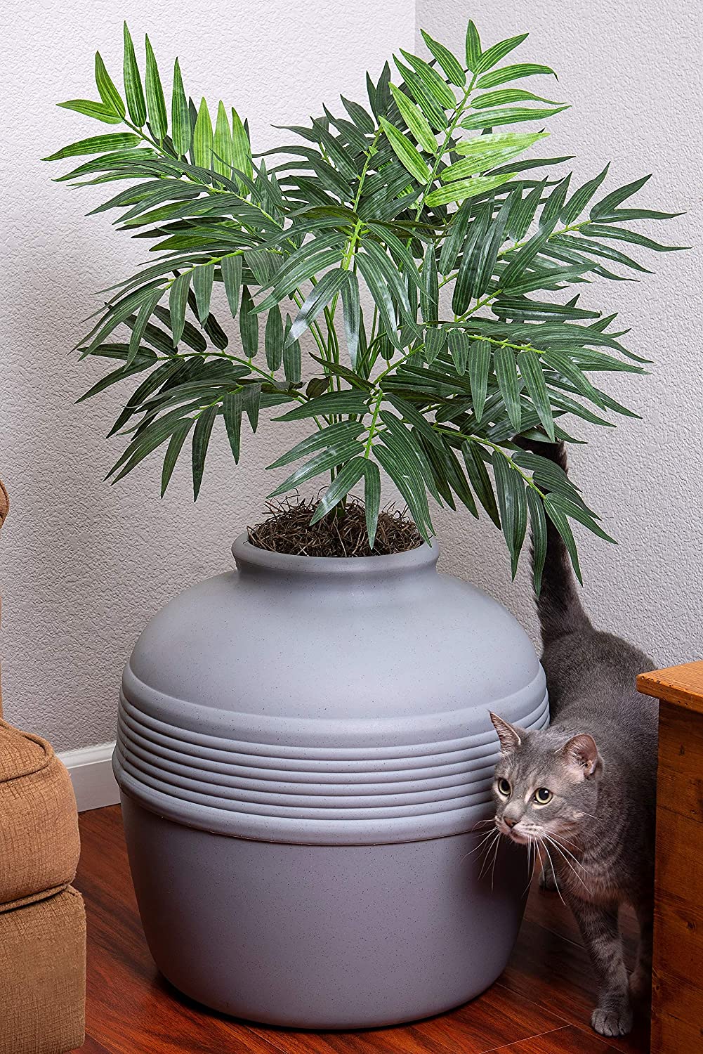 Plant pot hotsell cat litter box