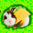 guinea pig taco costume