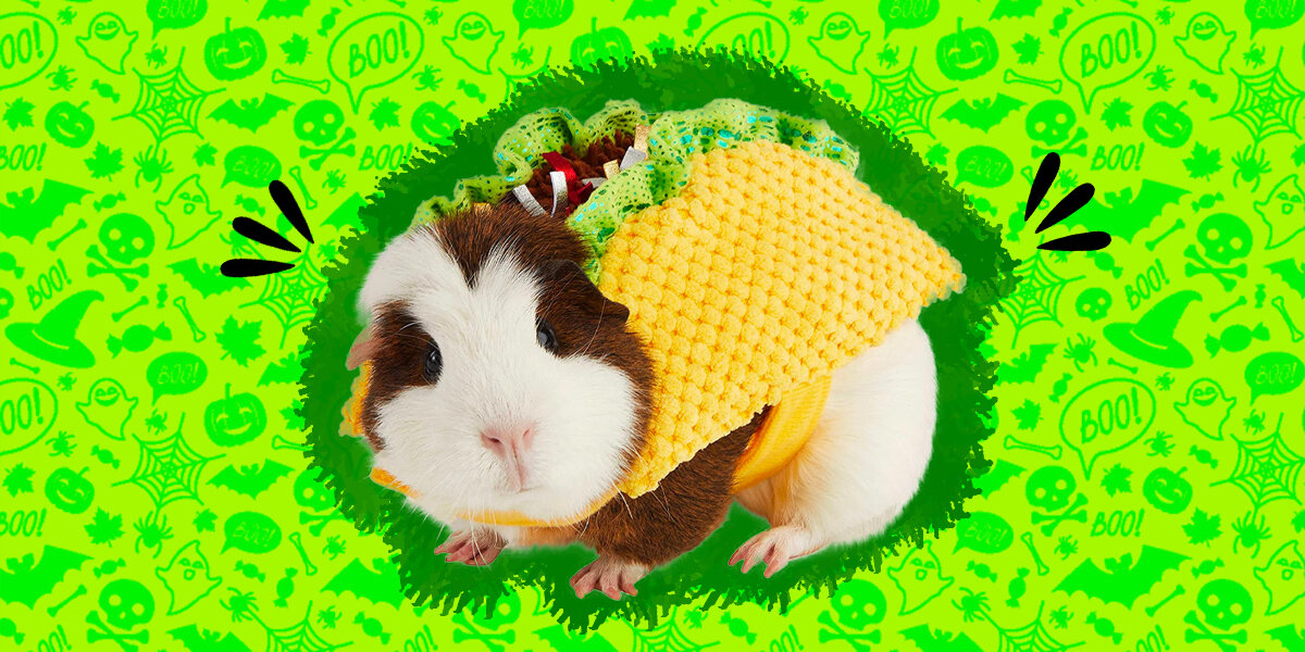 Kids guinea hot sale pig costume