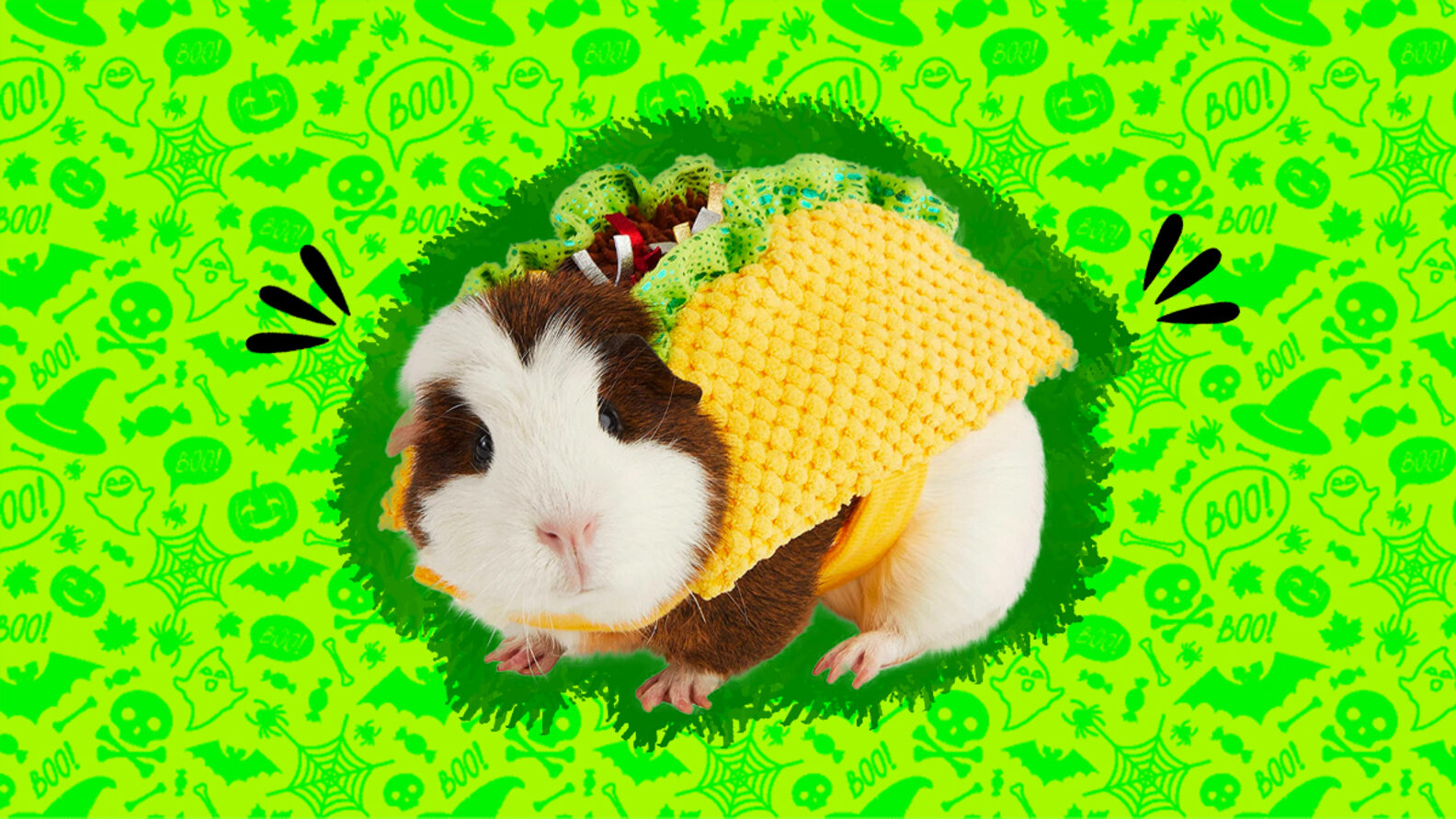 10 Guinea Pig Costumes For Halloween That Are Almost Too Cute