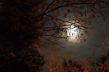 Houston Ghost Tour