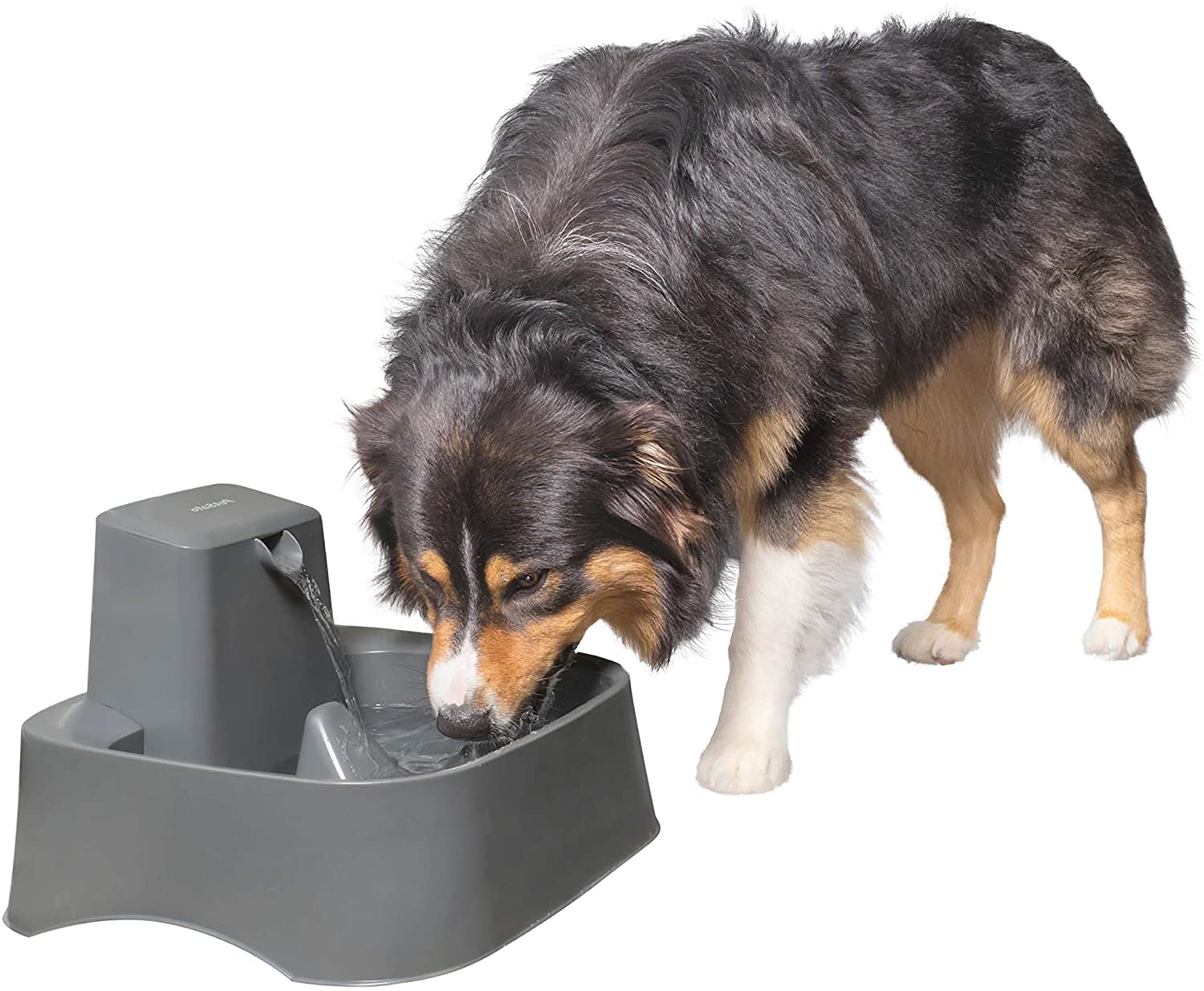 Dog hotsell water filter