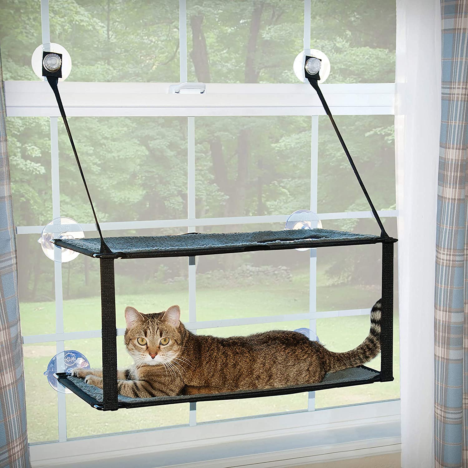 Best cat window clearance perches