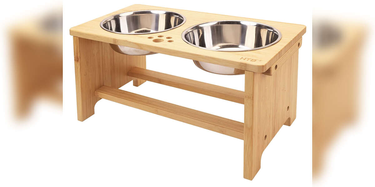 8 Best Elevated Dog Bowls On Amazon DodoWell The Dodo