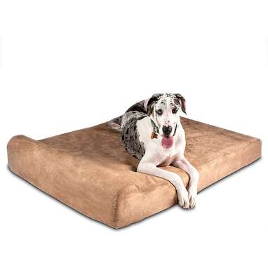 10 Best Orthopedic Dog Beds On Amazon DodoWell The Dodo