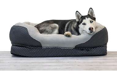 10 Best Orthopedic Dog Beds On Amazon DodoWell The Dodo