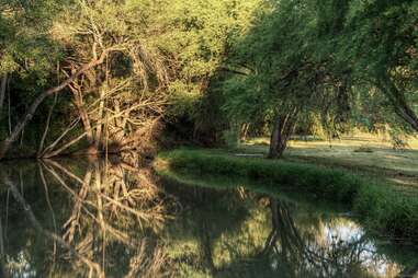 woman hollering creek texas