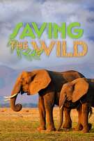 Saving the Wild cover art