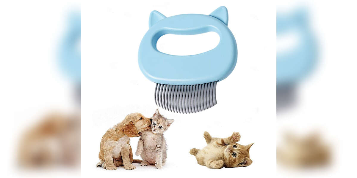 10 Best Cat Brushes On Amazon DodoWell The Dodo