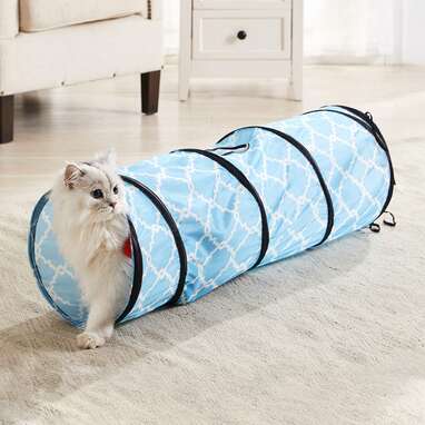 Best hotsell cat tunnel