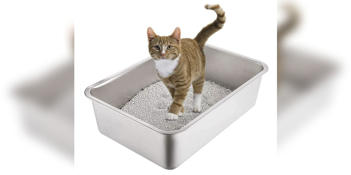 4 Best Non Stick Litter Boxes From Amazon DodoWell The Dodo