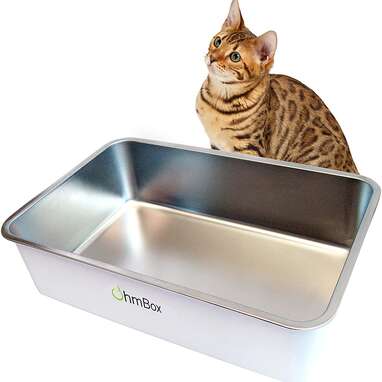 4 Best Non Stick Litter Boxes From Amazon DodoWell The Dodo