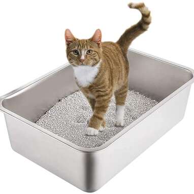 Best non stick cat litter outlet