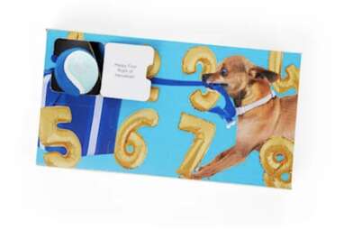 Merry Makings Hanukkah 8-Nights of Thrills Dog Toy Calendar