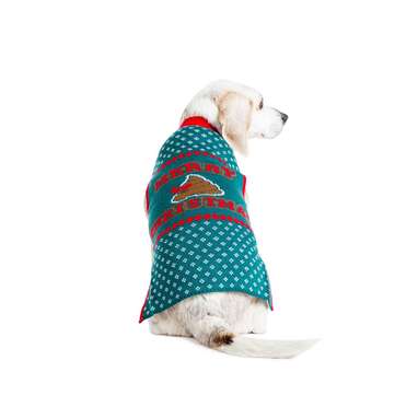 Little Present Dog Sweater