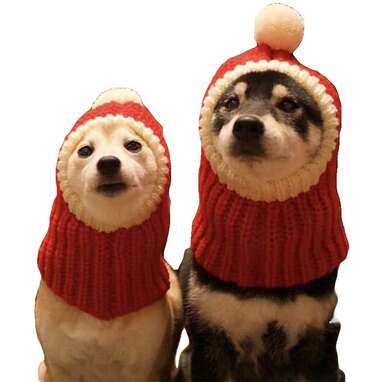 The perfect winter accessory: Christmas Dog Hat Crocheted Snood