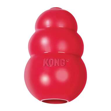 An iconic toy: KONG Classic Dog Toy